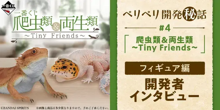 爬虫類＆両生類～Tiny Friends～】フトアゴヒゲトカゲを飼っている担当