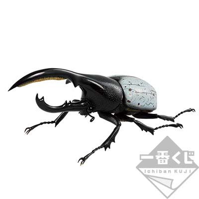 一番くじ 昆虫 LIFE with INSECT｜一番くじ倶楽部｜BANDAI SPIRITS公式