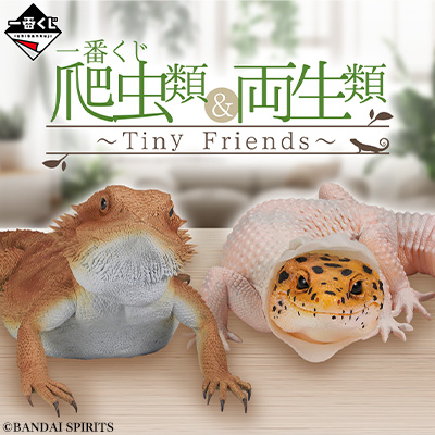 その他キャラクター｜一番くじ倶楽部｜BANDAI SPIRITS公式 一番くじ