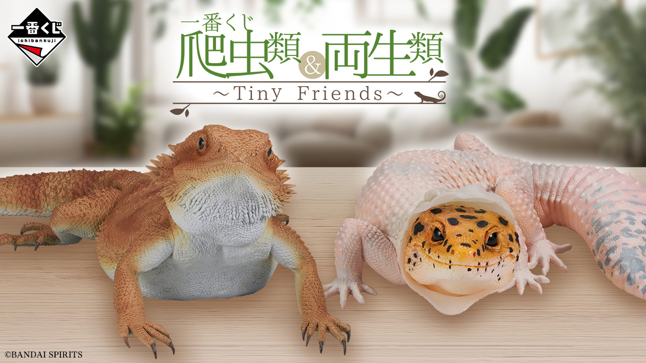 一番くじ 爬虫類＆両生類～Tiny Friends～｜一番くじ倶楽部｜BANDAI