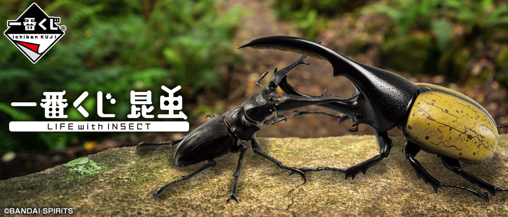 一番くじ 昆虫 LIFE with INSECT｜一番くじ倶楽部｜BANDAI SPIRITS公式