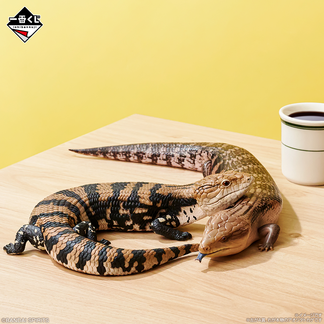 一番くじ 爬虫類＆両生類～Tiny Friends～vol.2｜一番くじ倶楽部