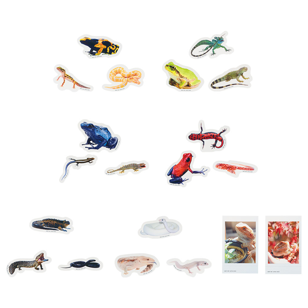 一番くじ 爬虫類＆両生類～Tiny Friends～｜一番くじ倶楽部｜BANDAI