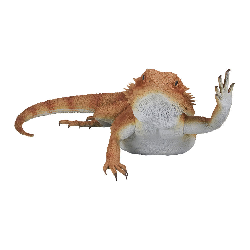 一番くじ 爬虫類＆両生類～Tiny Friends～｜一番くじ倶楽部｜BANDAI