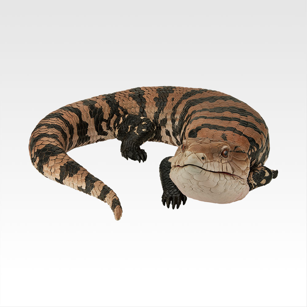 一番くじ 爬虫類＆両生類～Tiny Friends～vol.2｜一番くじ倶楽部