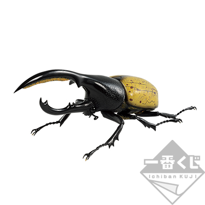 一番くじ 昆虫 LIFE with INSECT｜一番くじ倶楽部｜BANDAI SPIRITS公式