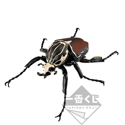 一番くじ 昆虫 LIFE with INSECT｜一番くじ倶楽部｜BANDAI SPIRITS公式