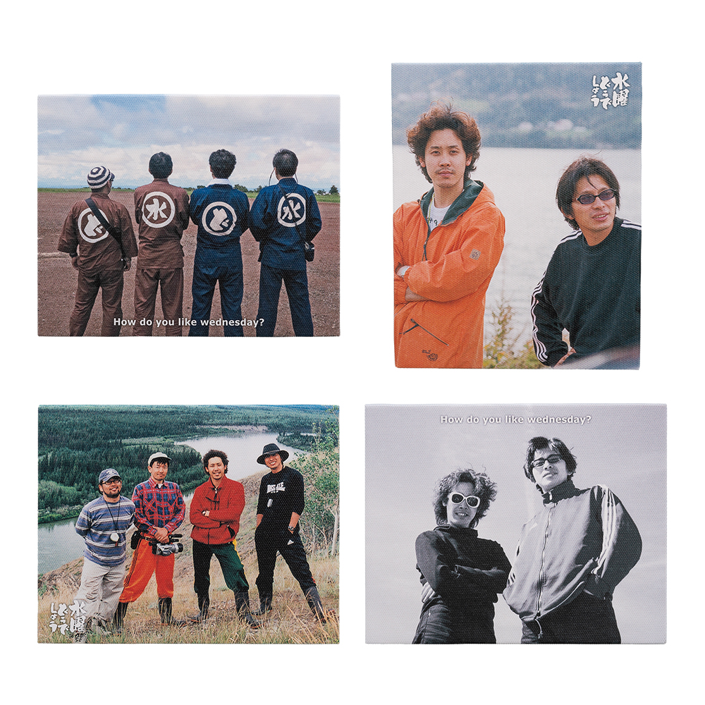 一番くじ 水曜どうでしょう ライオン めっちゃいるよ｜一番くじ倶楽部