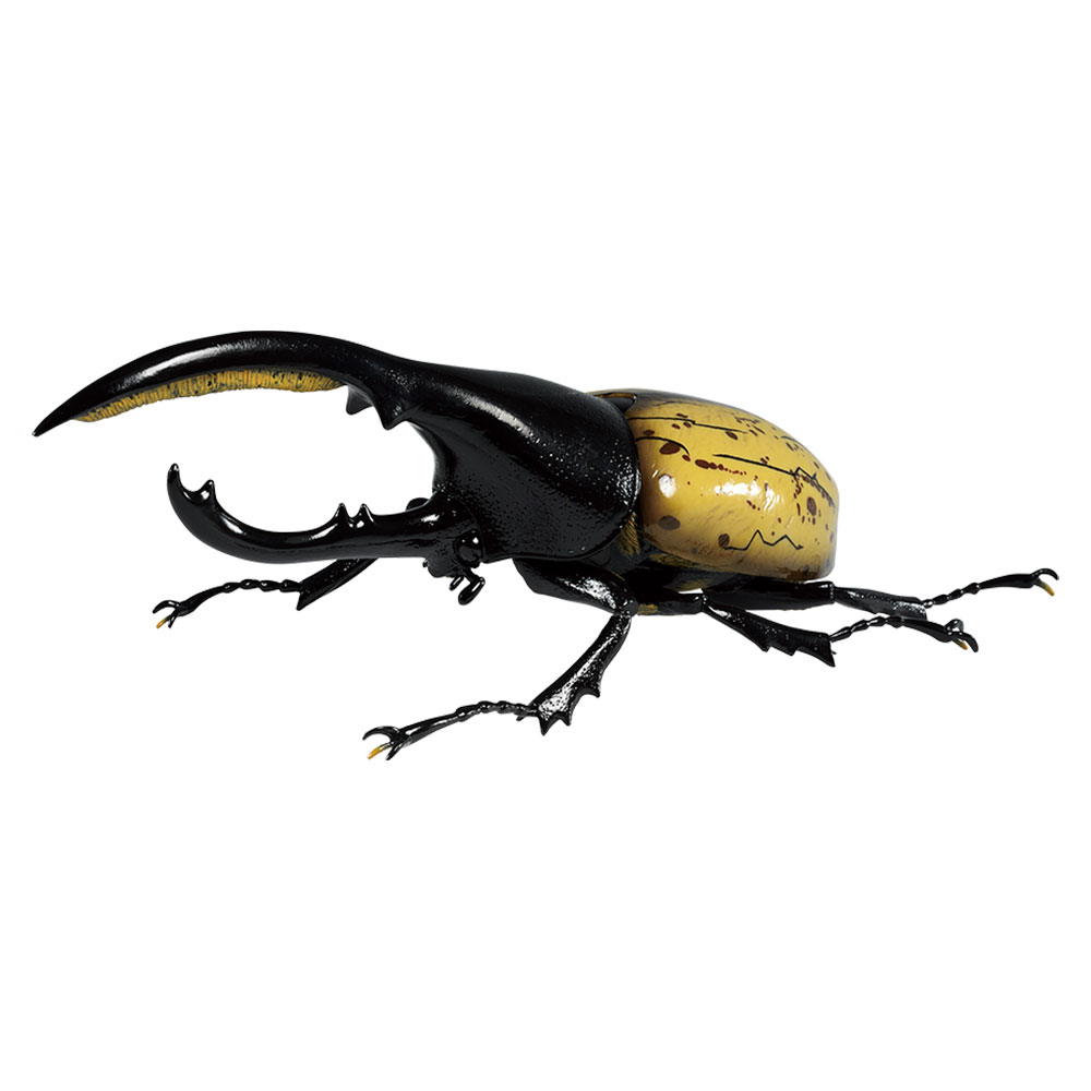 一番くじ昆虫 世界の昆虫博物館｜一番くじ倶楽部｜BANDAI SPIRITS公式