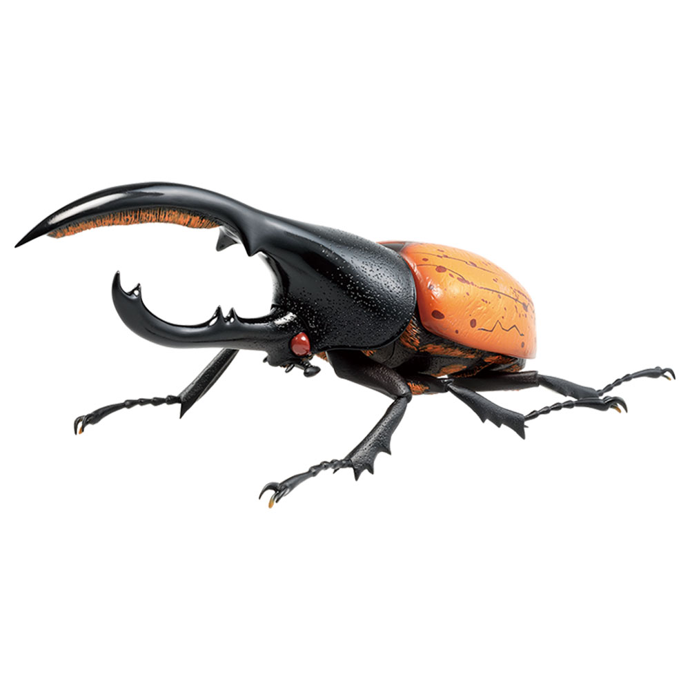 一番くじ昆虫 世界の昆虫博物館｜一番くじ倶楽部｜BANDAI SPIRITS公式