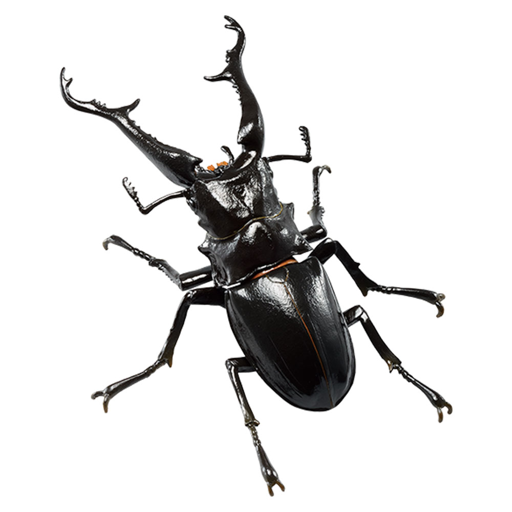 一番くじ昆虫 世界の昆虫博物館｜一番くじ倶楽部｜BANDAI SPIRITS公式