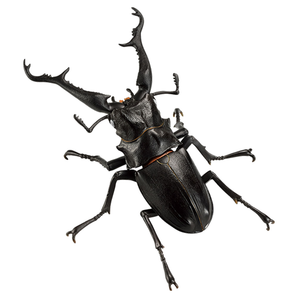 一番くじ昆虫 世界の昆虫博物館｜一番くじ倶楽部｜BANDAI SPIRITS公式