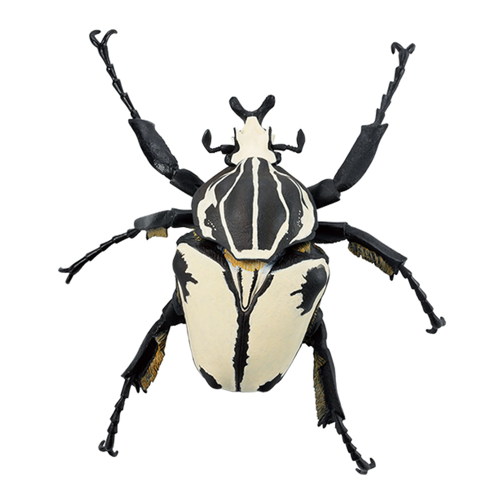 一番くじ昆虫 世界の昆虫博物館｜一番くじ倶楽部｜BANDAI SPIRITS公式