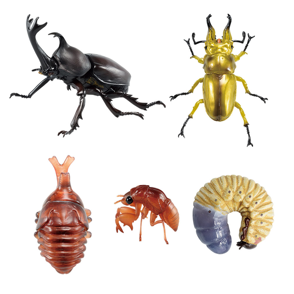 一番くじ昆虫 世界の昆虫博物館｜一番くじ倶楽部｜BANDAI SPIRITS公式