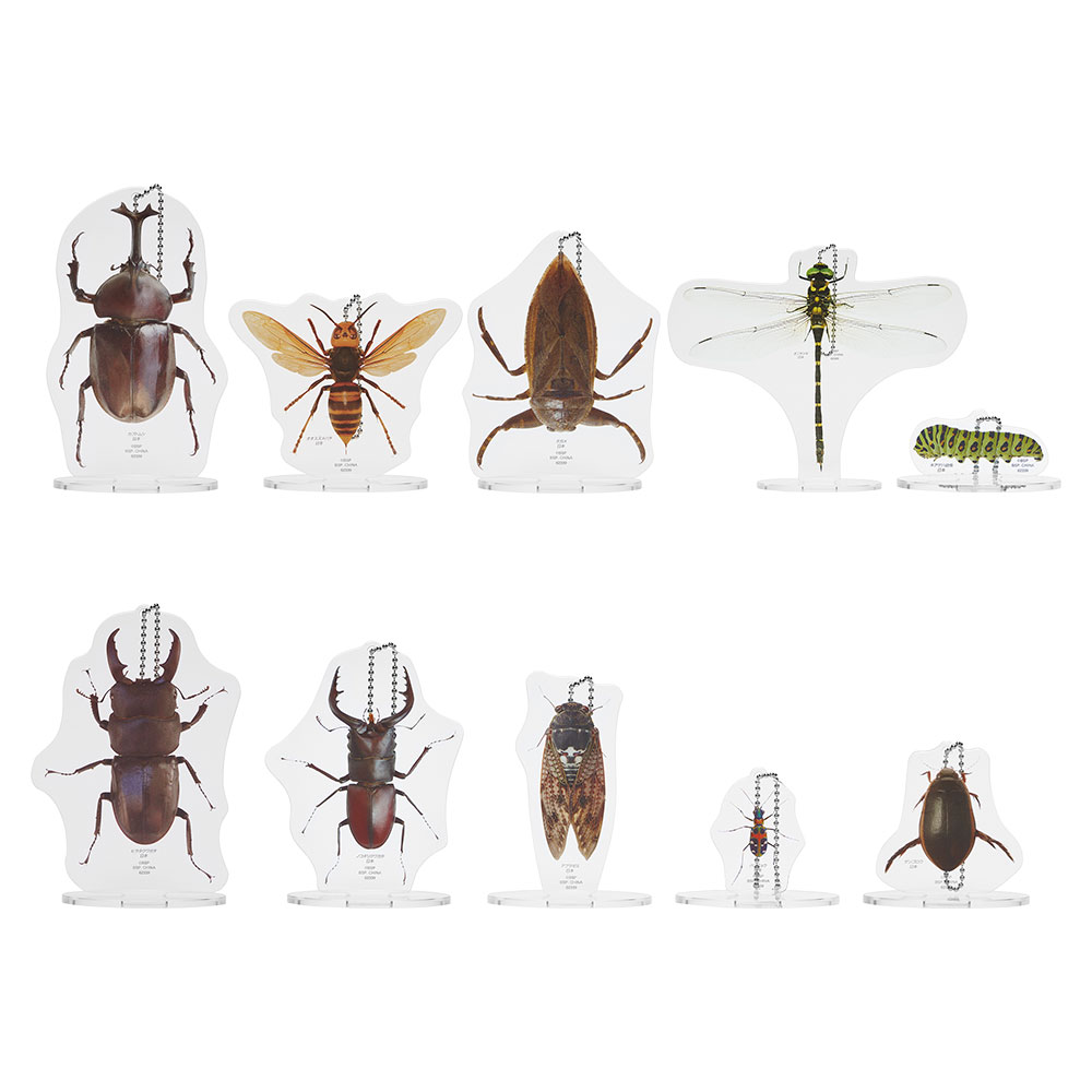 一番くじ昆虫 世界の昆虫博物館｜一番くじ倶楽部｜BANDAI SPIRITS公式