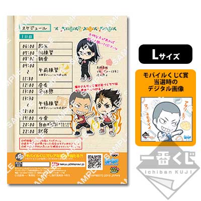 ハイキュー 第3体育館組 キャラマイド ブロマイド コンプリートセット