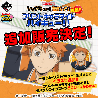 一番おみくじハイキュー!!缶バッジ 連動!! プリントキャラマイド