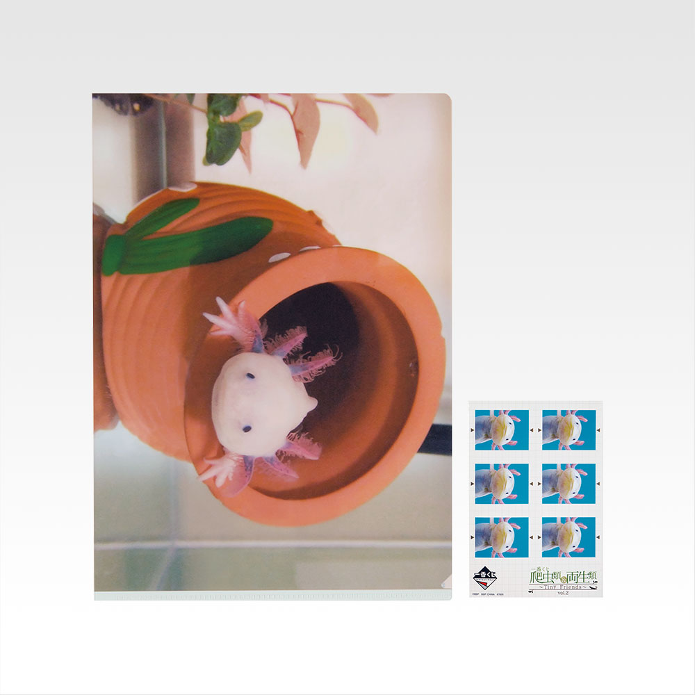 一番くじ 爬虫類＆両生類～Tiny Friends～vol.2｜一番くじ倶楽部