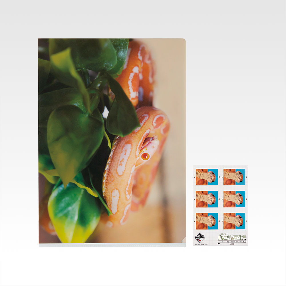 一番くじ 爬虫類＆両生類～Tiny Friends～vol.2｜一番くじ倶楽部